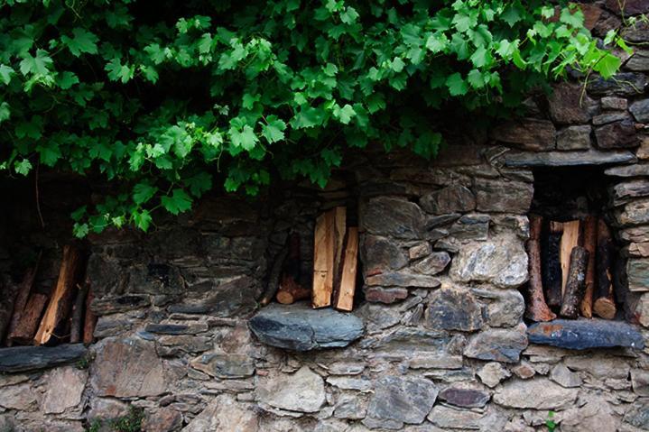 Can Coderch Hotel Ribes De Freser Luaran gambar